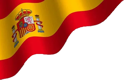 Top SEO Agency in Marbella
