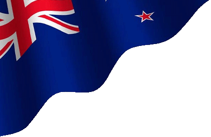 Top SEO Agency in Tauranga